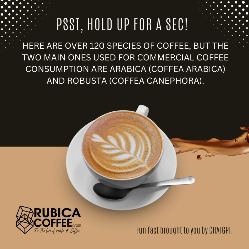 Rubica Coffee Fun fact did you know there are over 120 species of coffee